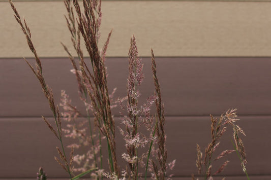 The Best Time to Install Composite Cladding