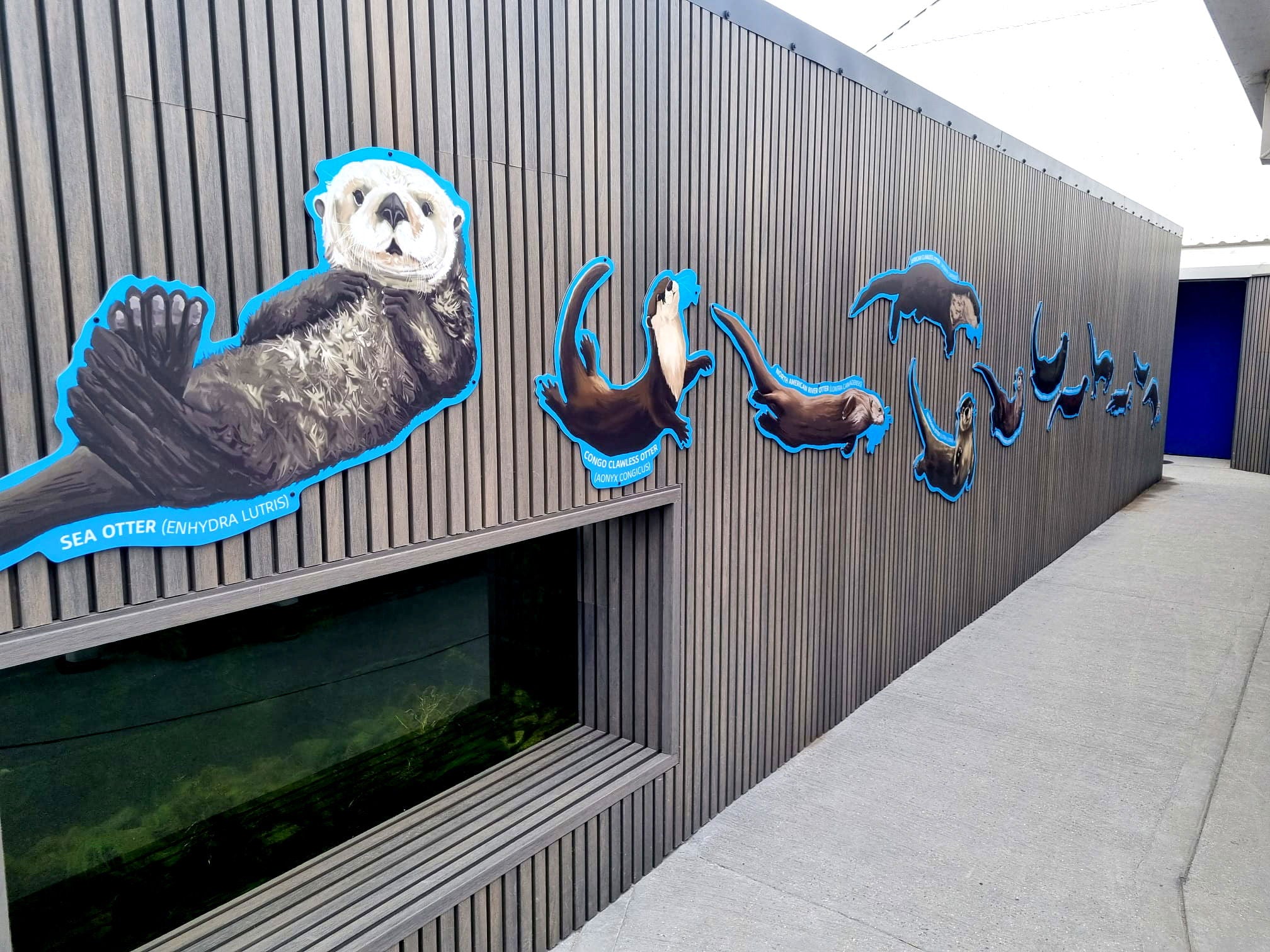 Sea Life Slatted Cladding | EnviroBuild Case Study