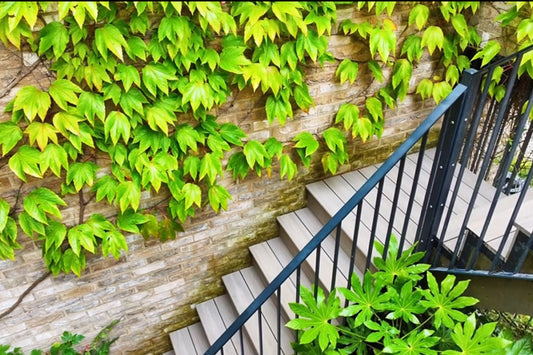 Composite Decking Steps Installation