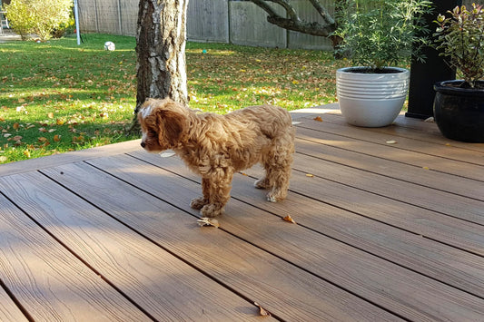 CS - Decking - Pet-Friendly Decking