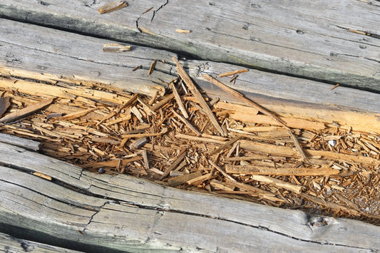 Signs Your Deck Needs Replacing