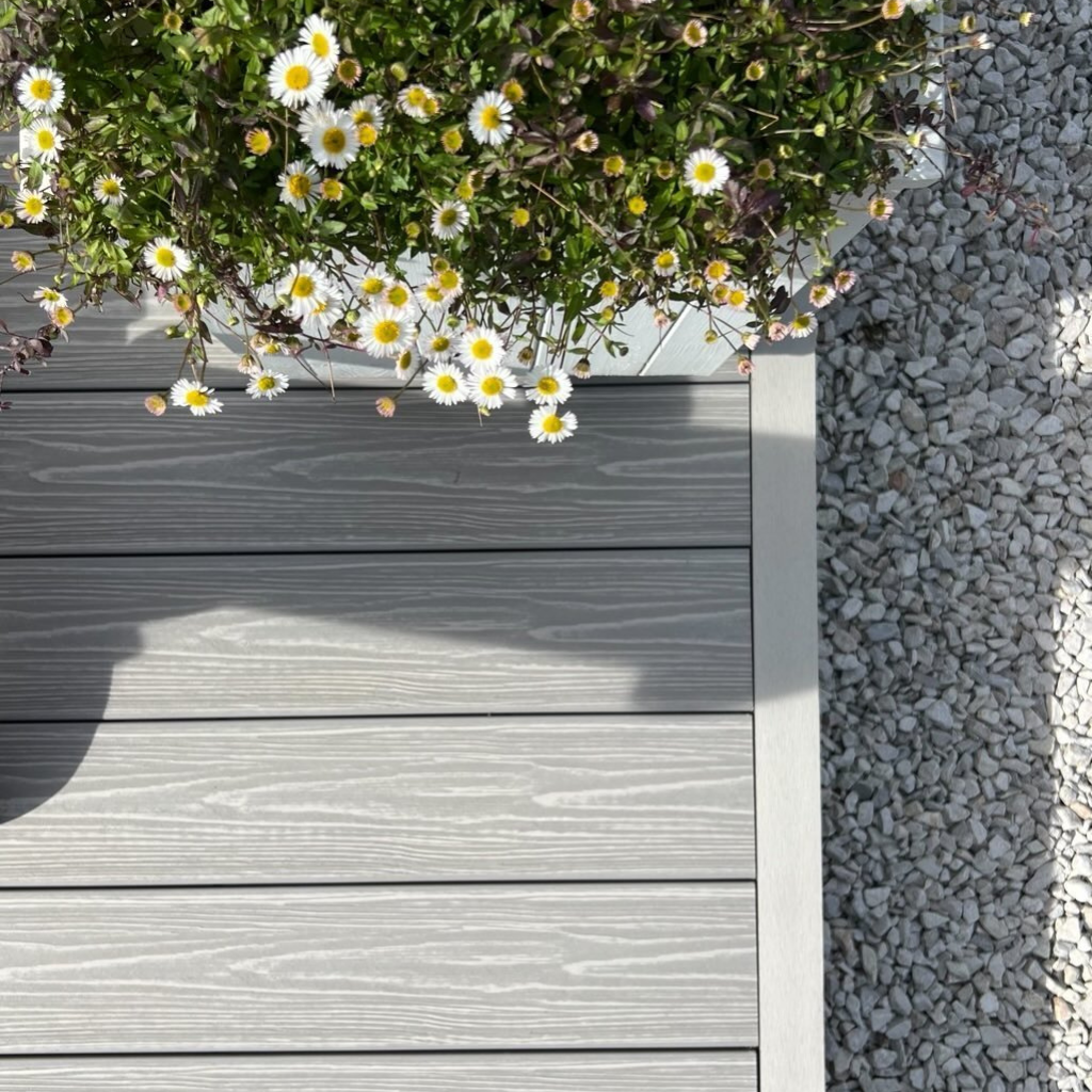 Silver Birch Edge Board - 4M