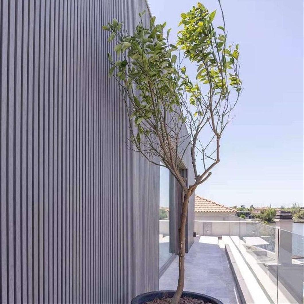 Grey Ash Slatted Composite Cladding Board