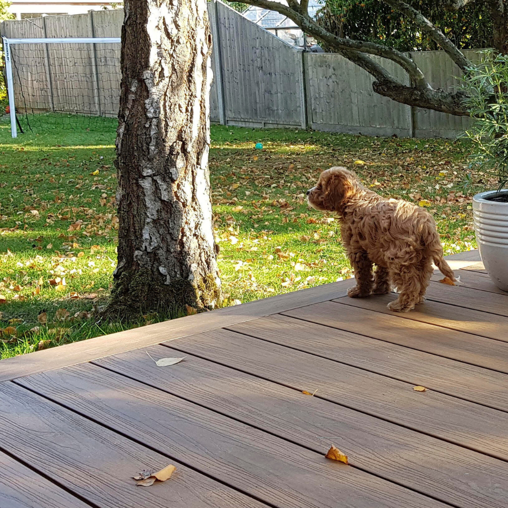 Teak Bullnose Edging | Frontier