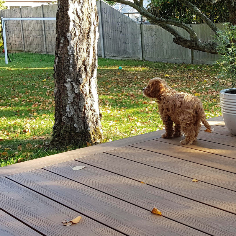 Teak Bullnose Edging | Frontier
